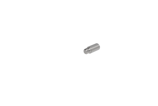 Micro Insert Weight 20 grain